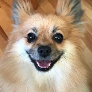 Meet your Posher, Jana